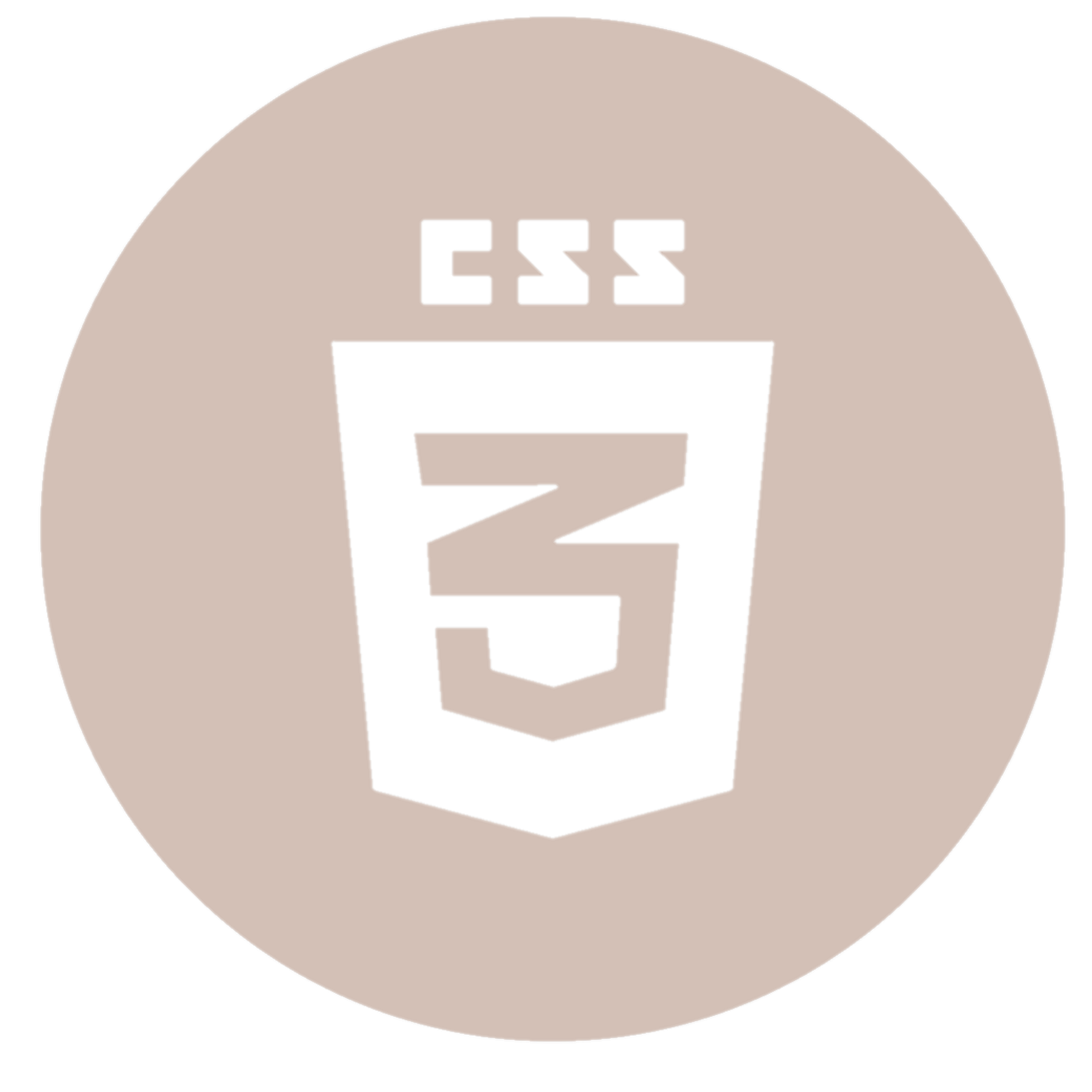 CSS logo